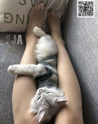 日本一本au道电影_DVD高清视频观看